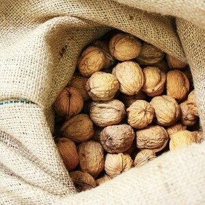Gapsted Valley Nut Farm